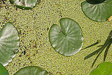 《机械战警：暴戾都市》开发商正制作一款动作RPG游戏